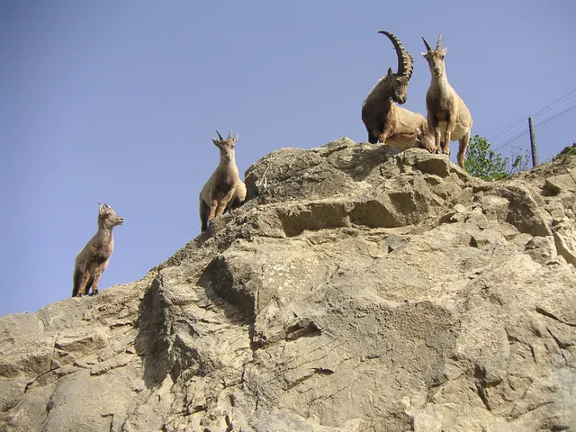 Parc animalier du Creuset