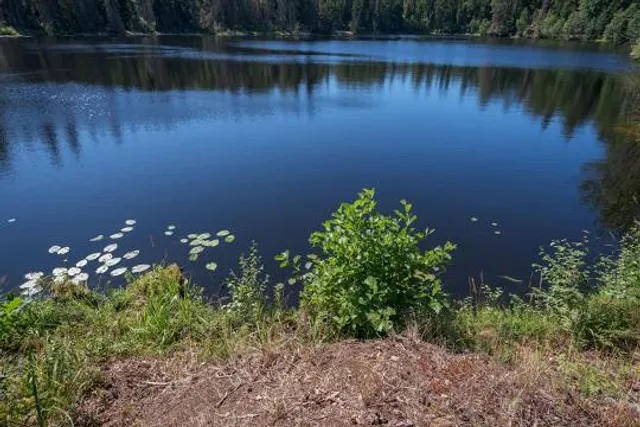 Interlake State Recreation Area