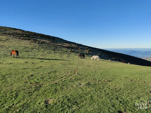 Collado Fancuaya (1086 m.)