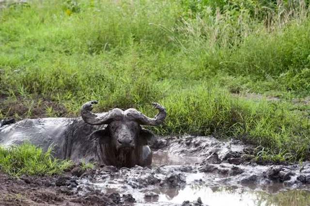 Fluvial beach of Devesa