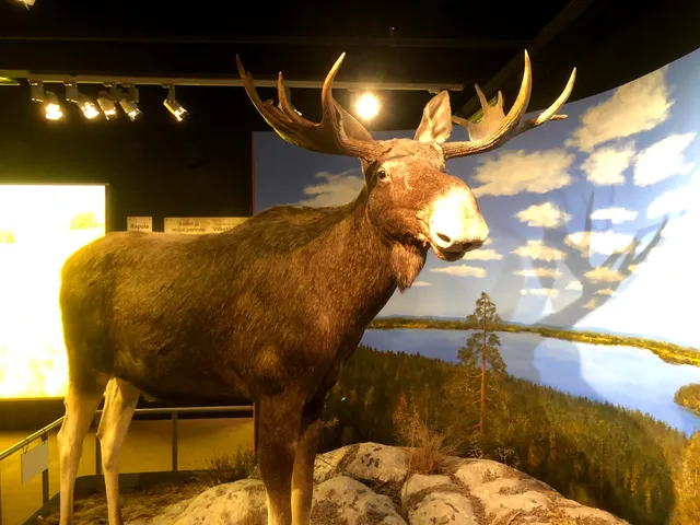 Natural History Museum