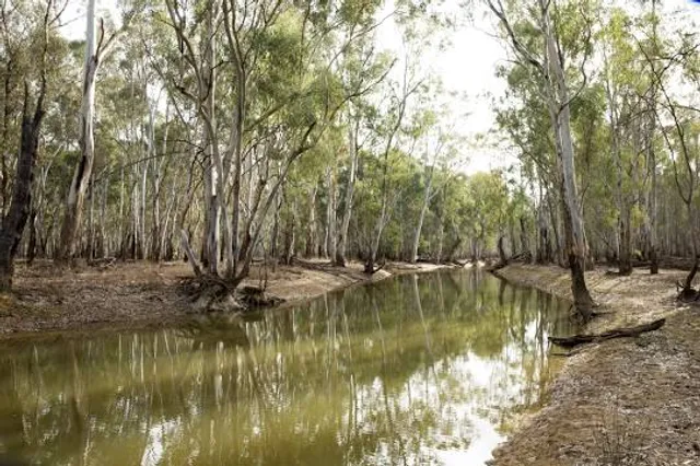 Murray Valley National Park