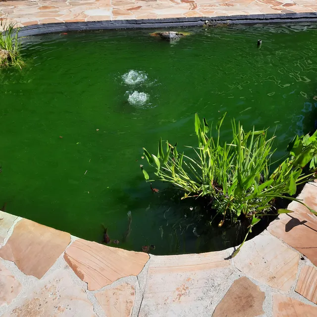 Callaway Gardens Information Center