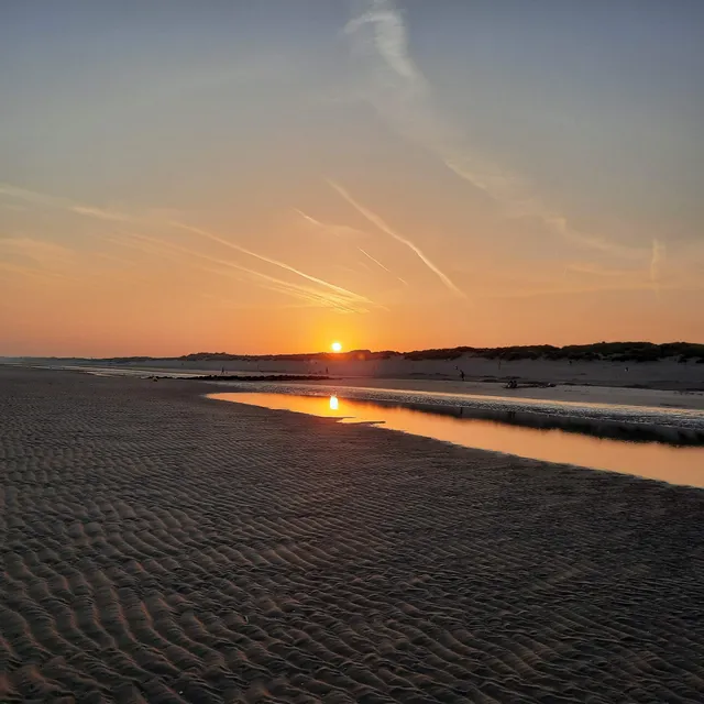Nudist beach Bredene