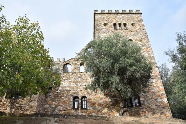 Ruins of Beltraneja's castle