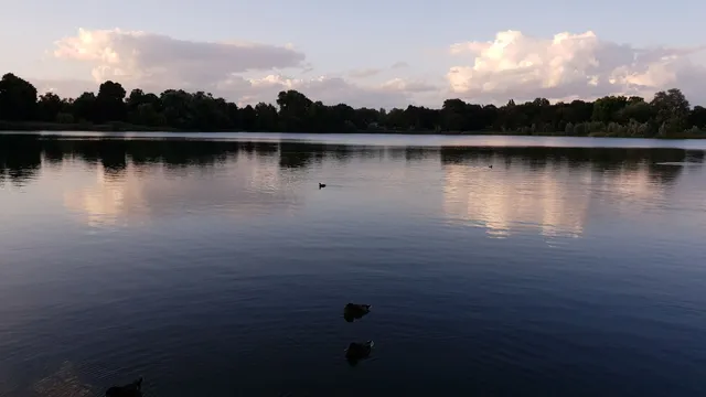 Dierenpark Prins Hendrik