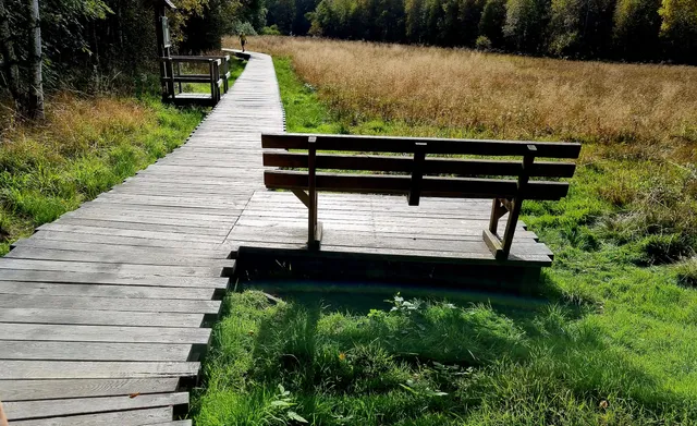 Naturlehrpfad Schwarzes Moor