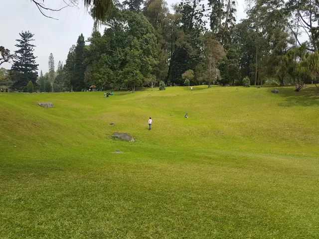 Taman Sakura CIBODAS Cianjur