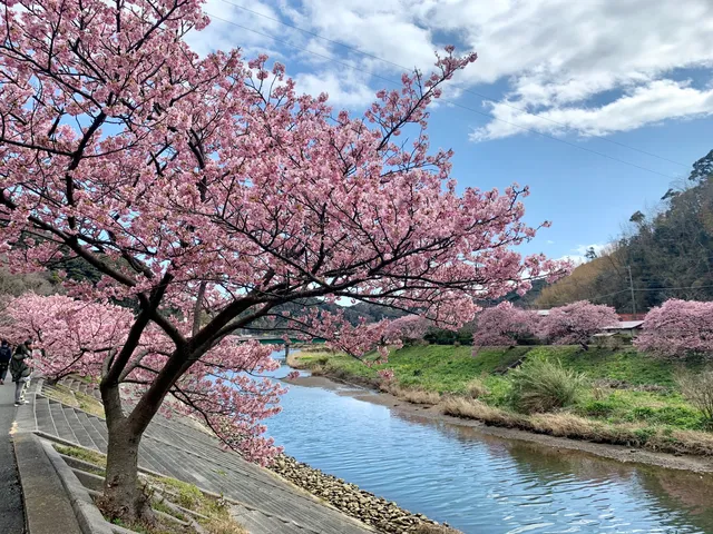 Aonogawafurusato Park