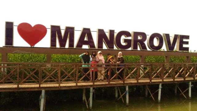 KETAPANG URBAN AQUACULTURE - MAUK