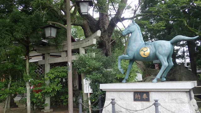 photo-3