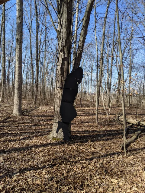 Steyer Nature Preserve