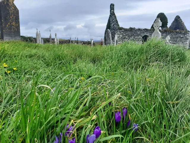 Wild Atlantic Pool and Fitness Centre
