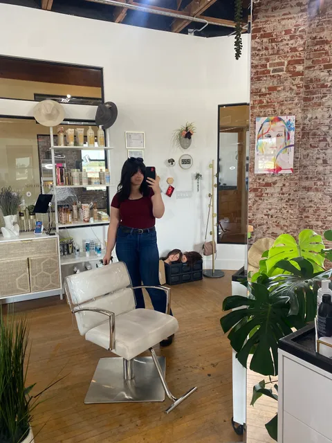 The Hive Style Collective