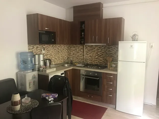 Xenopol Central Apartment