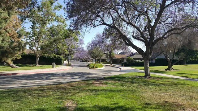 Cerritos Park East