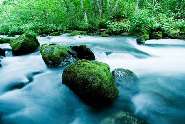 Thác 5 tầng Đắk Sin