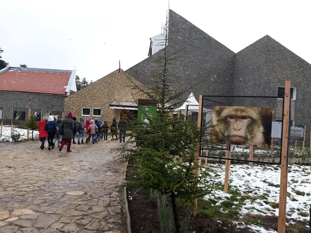 Maison de la cédraie