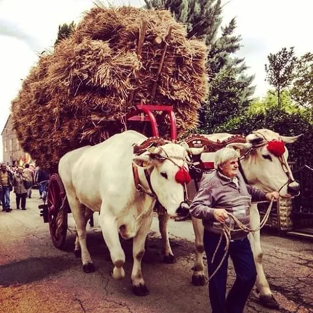 Museo della Civiltà Contadina di Fratticciola