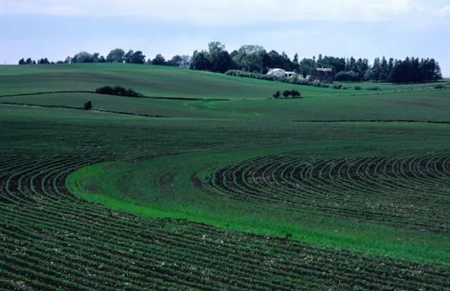 Battle of Grunwald Battlefield