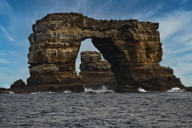 Darwin's Arch