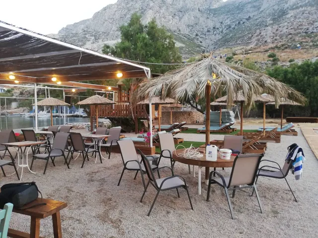 Mpakalogatos by the Beach