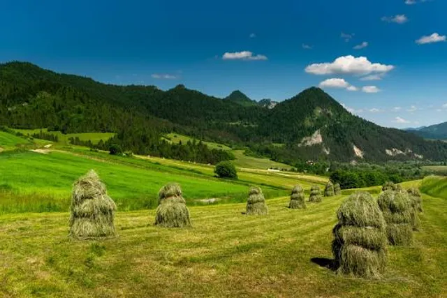 Spływ Dunajcem - Przystań pod Zamkiem