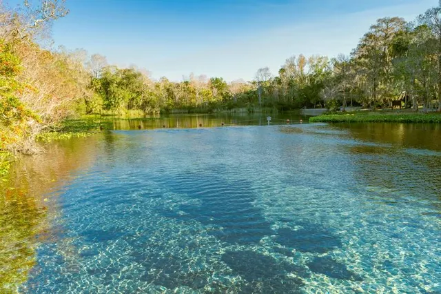 Alexander Springs Recreation Area
