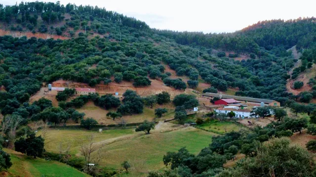 Finca Los Robledos