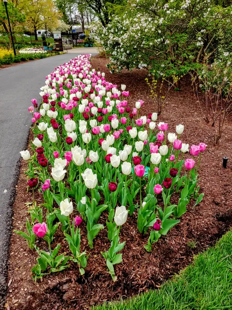 The Scotts Miracle-Gro Foundation Children’s Garden