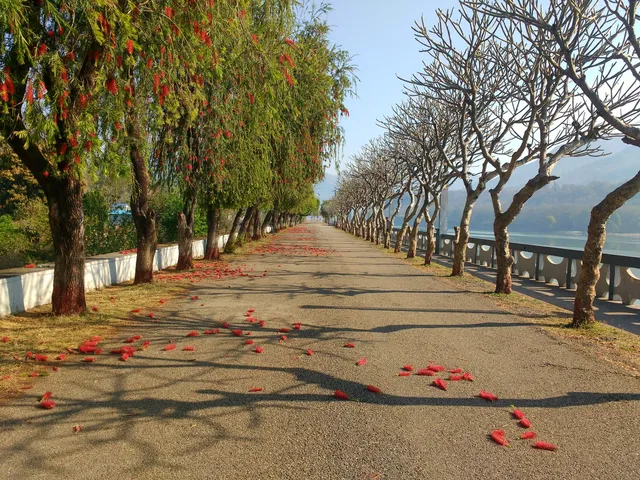 Marine Drive( Aastha Path )