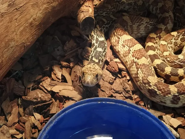 MUZEI PRIRODY I YEKOLOGII RESPUBLIKI BELARUS(VYSTAVOCHNYI ZAL)