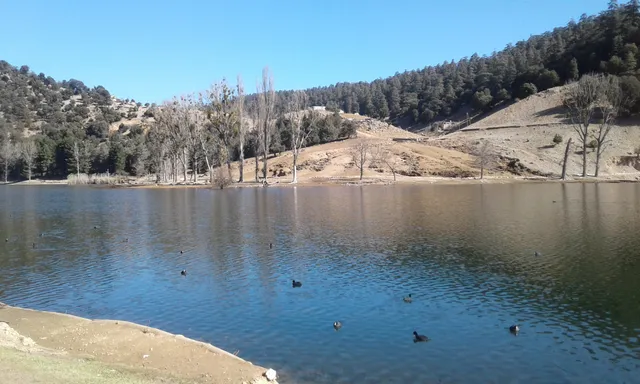 Guide Saleh Boudaoud/Trekking/Randonnées