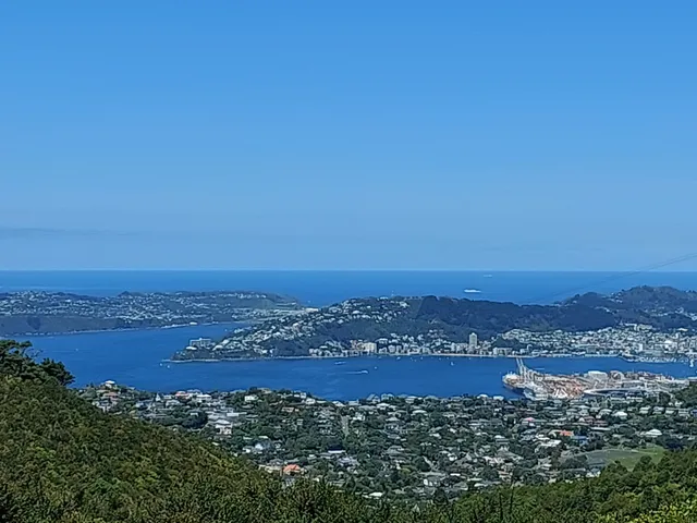 Mt Kaukau Summit Hike — Simla Crescent Trailhead
