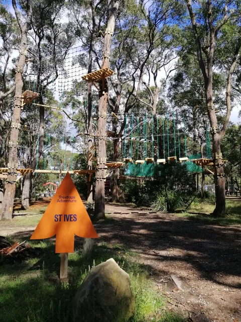 Treetops Adventure St Ives