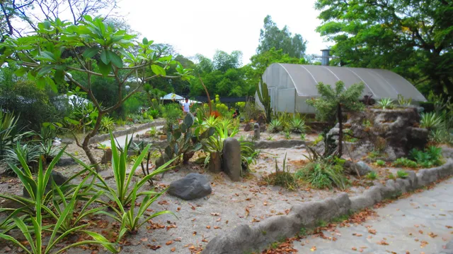 place image