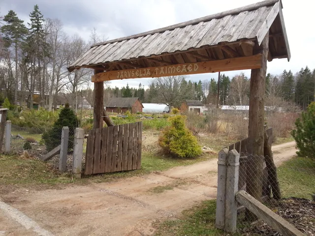 Järvselja Õppe- ja Katsemetskond SA