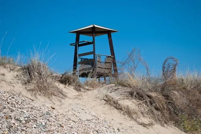 Traumpfädchen Niederfeller Schweiz