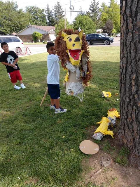 The O'Loughlin Center