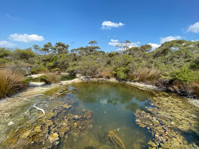 Tokaanu Thermal Walk