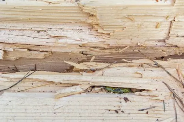 Dundullimal Homestead