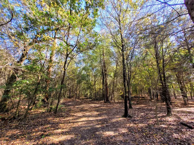 Lorraine Cherry Nature Preserve