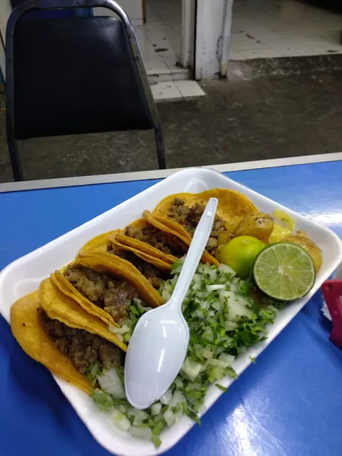 tako loko guadalupe