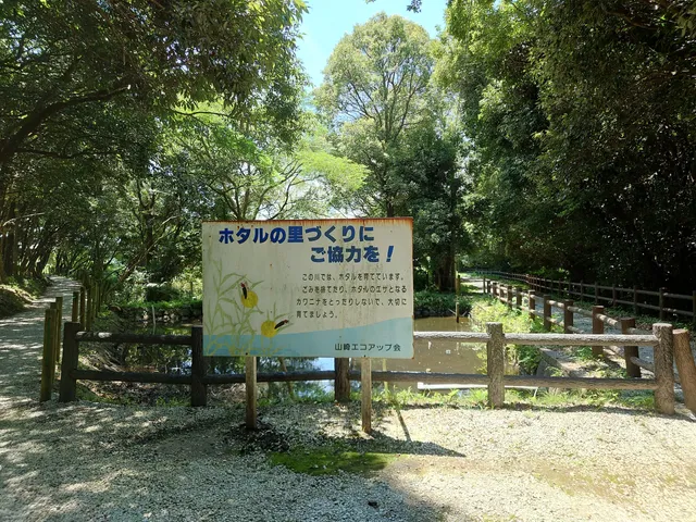 Yamazaki Hotaru "Fireflies" Pier