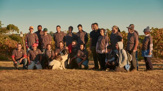 Dona Dorinda Organic Wines