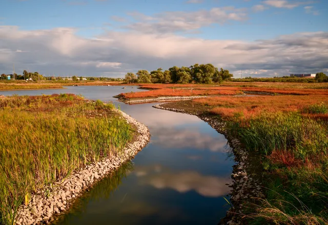 Carp River Conservation Area