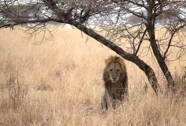 Park. im. Adama Mickiewicza