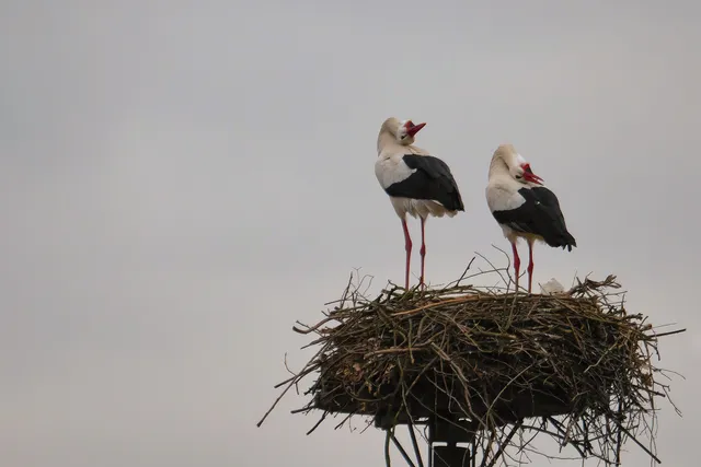 Parco Cascina Venara
