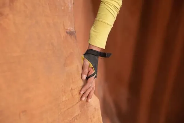 RoofClimb Adelaide Oval