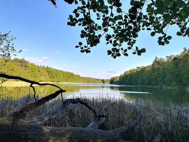 Jezioro Jarosławieckie